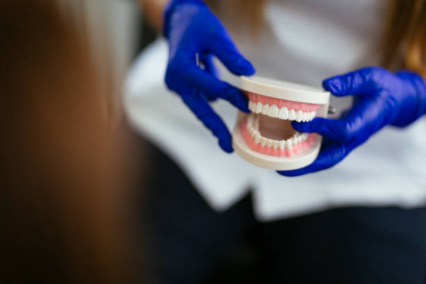  , CT Holistic Dental Services Pros